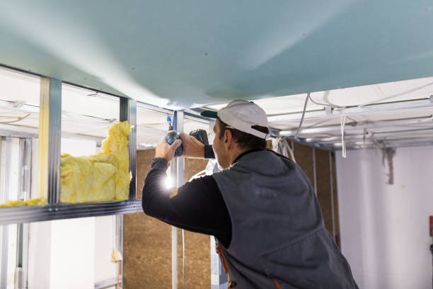 Best Fiberglass Insulation in Loma, CO
