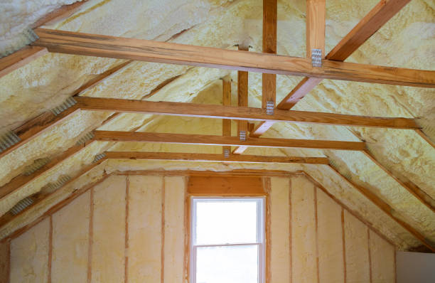 Best Spray Foam Insulation in Loma, CO