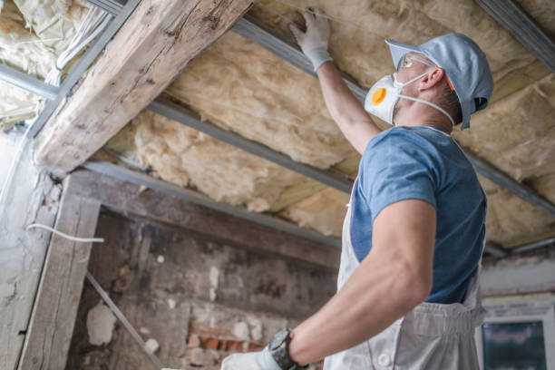 Best Spray Foam Insulation in Loma, CO