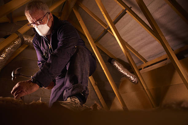 Best Geographic-Specific Insulation Services in Loma, CO